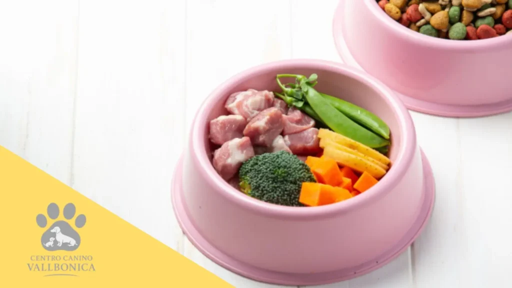 Cachorro comiendo su ración de pienso equilibrado en un entorno doméstico