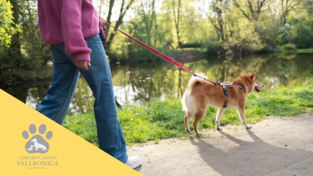 Persona organizando su jornada con un cachorro en casa durante la primera semana