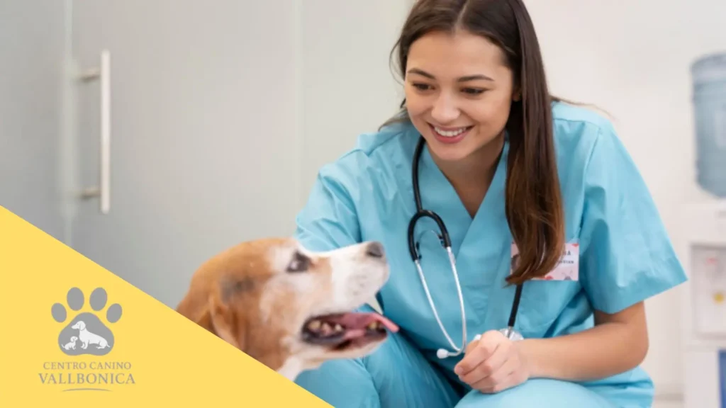 Cachorro tranquilo durante una revisión en una clínica mientras su tutor lo acompaña
