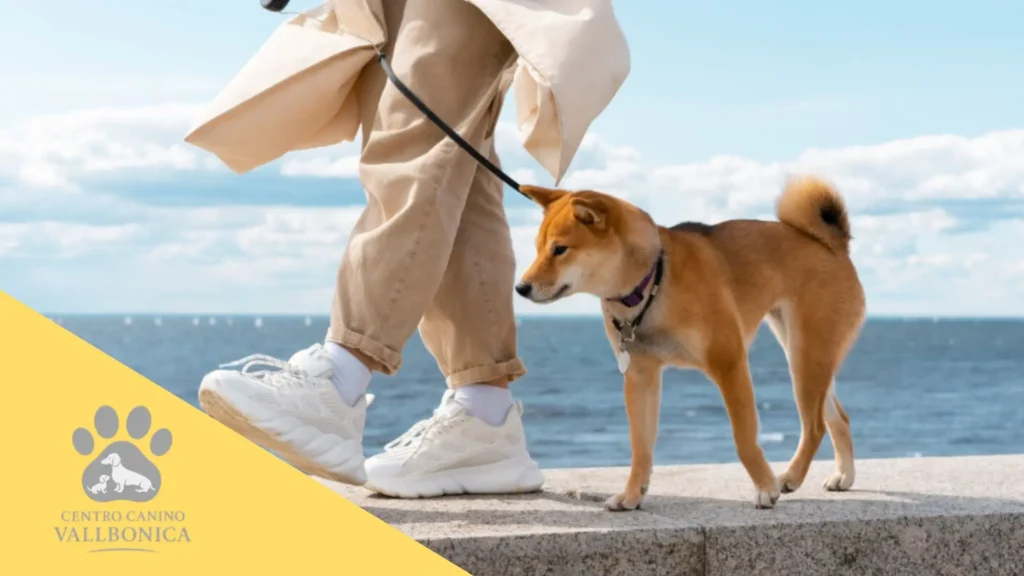 Familia reflexionando en casa sobre su rutina antes de adoptar un cachorro