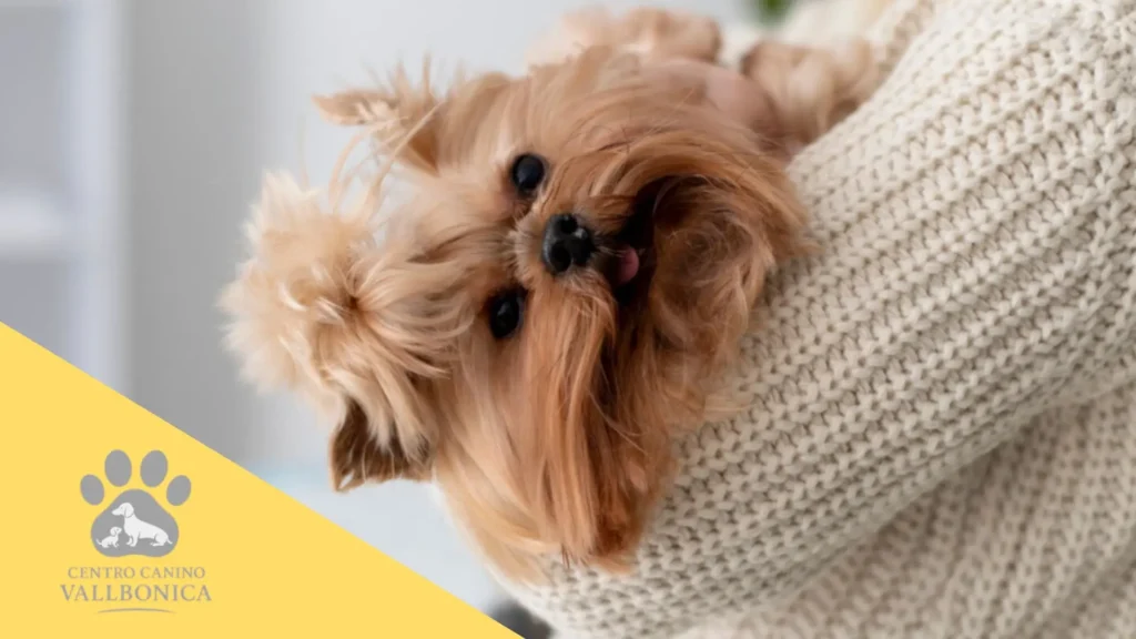 Cachorro respondiendo a su nombre con atención y alegría