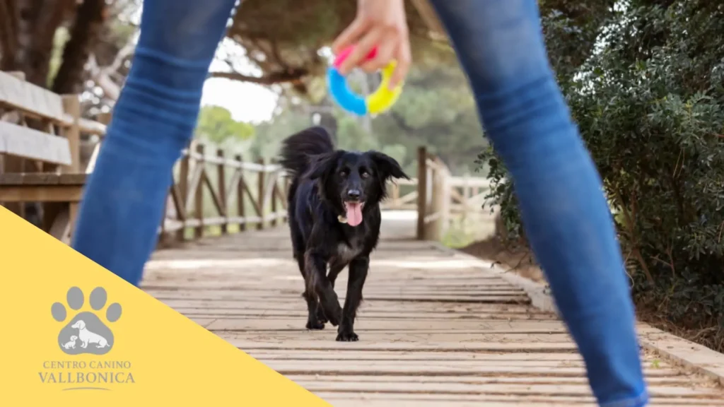 Tutor eligiendo entre un cachorro activo y uno tranquilo en un entorno familiar