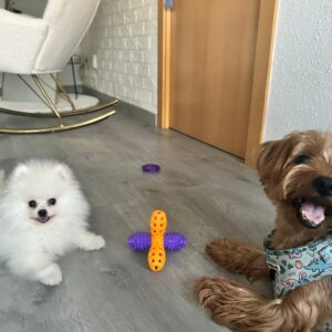 Vittorio pomi blanco